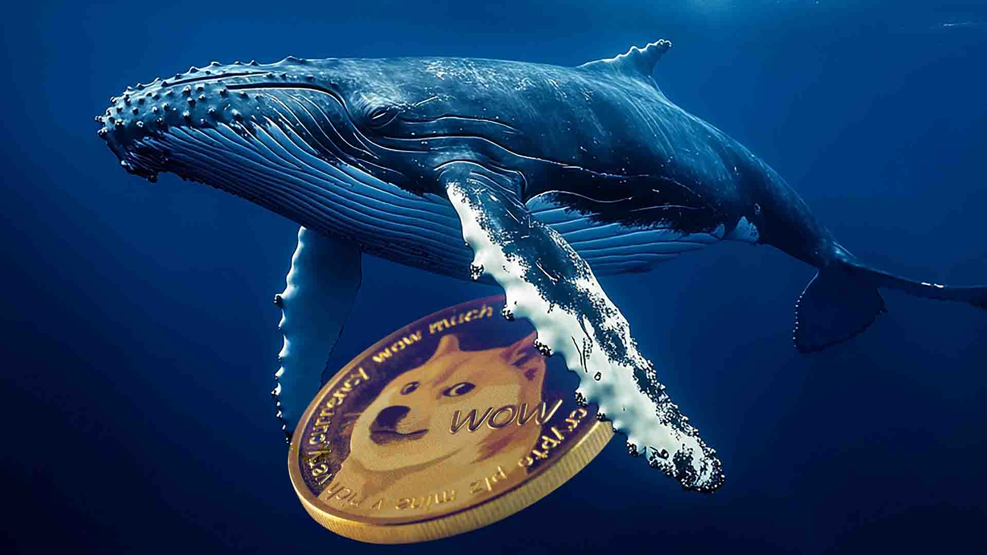 Dogecoin Parabolic Growth: How Whale Activity is Fueling the Surge
