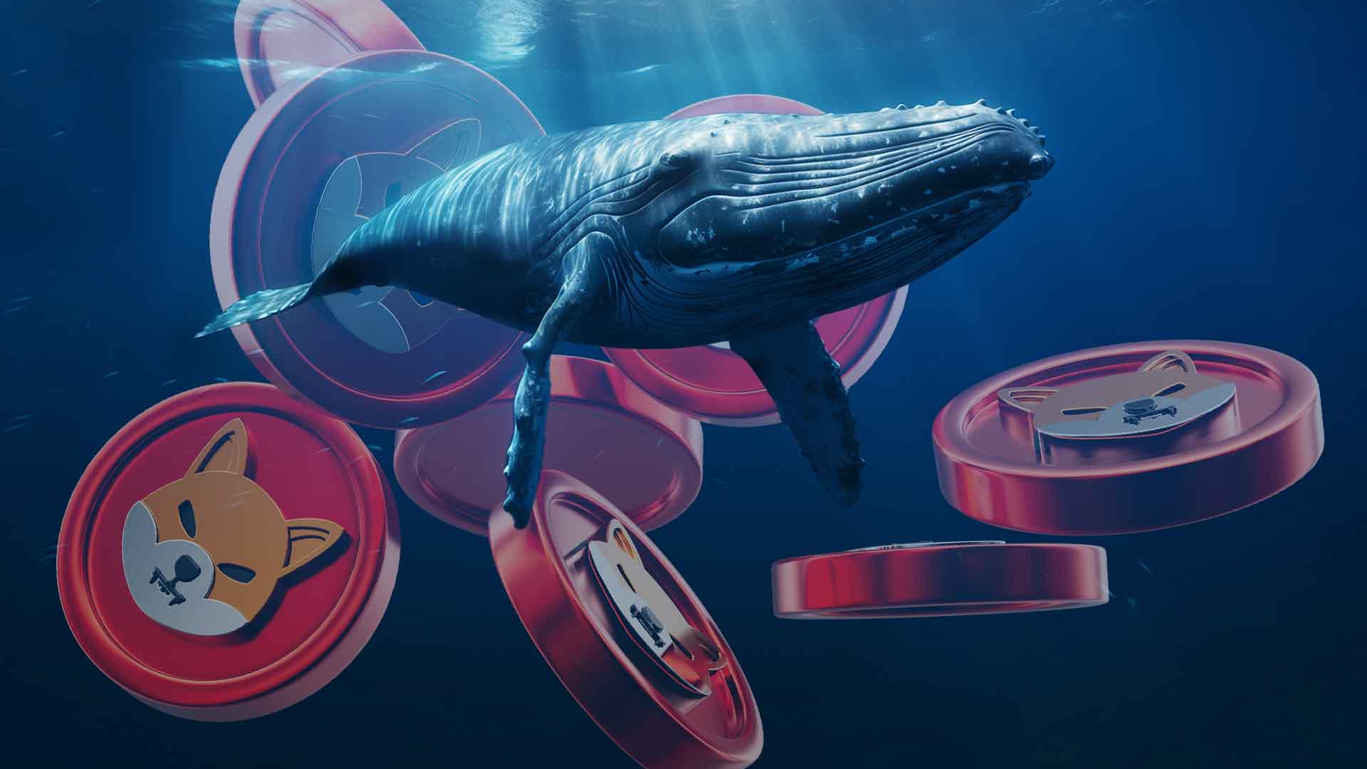 Shiba Inu Whale Netflow: A Deep Dive into SHIB Market Movements